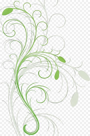 Floral Design, Plant Stem, Leaf, Botany PNG