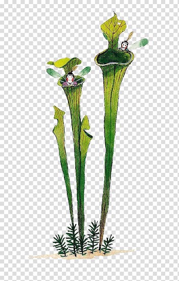 Floral design Plant Watercolor painting, Cartoon cute dragonfly wizard plant transparent background PNG clipart