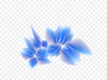 Floral design Portable Network Graphics Flower Image - sublime background 