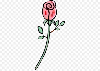 Floral Design, Rose Family, Cut Flowers, Flower, Pink PNG