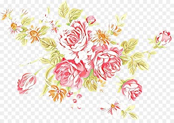Floral Design, Rose Family, Rose, Pink, Botany PNG