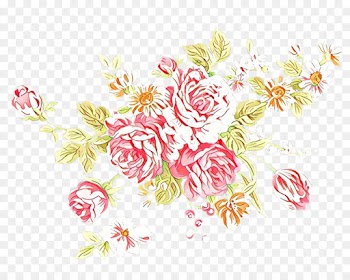 Floral Design, Rose Family, Rose, Pink, Botany PNG