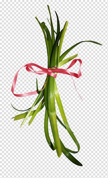 Floral design , Science and technology lines wave lines Creative Creative transparent background PNG clipart