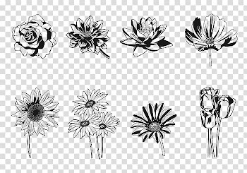 Floral design Silhouette Flower, Flowers Silhouette transparent background PNG clipart