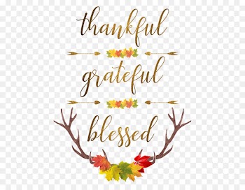 Floral Design, Thanksgiving, Desktop Wallpaper, Text, Leaf PNG