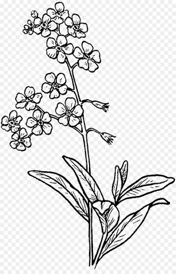Floral design The Mangawhai Focus Visual arts -  