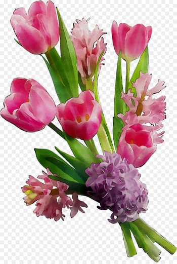 Floral design Tulip Cut flowers Pink -  