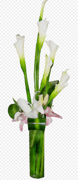 Floral design Vase Cut flowers Flower bouquet -  
