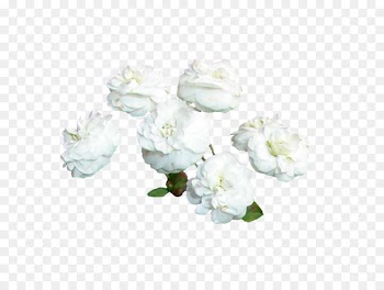 Floral design Vase Cut flowers Porcelain - vase 