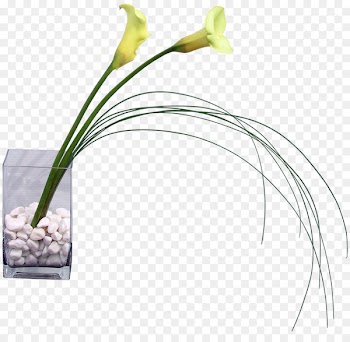 Floral design Vase Flower bouquet - vase 