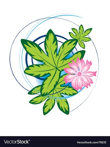 Floral design vector image