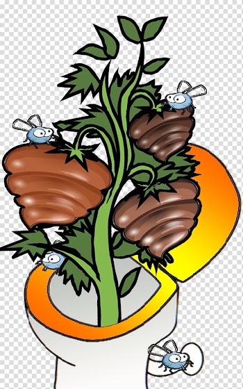 Floral design Vegetable Tomato Throw Pillows, vegetable transparent background PNG clipart