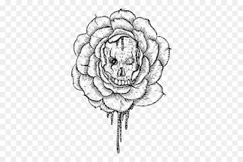 Floral Design, Visual Arts, Art, Line Art, Blackandwhite PNG