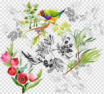 Floral design Watercolor painting Drawing Illustration, cartoon bird transparent background PNG clipart