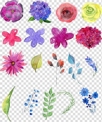 Floral design Watercolor painting Drawing, Watercolor flowers transparent background PNG clipart