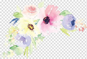Floral design Watercolor painting Flower Illustration, Watercolor flower , pink and white flower illustration transparent background PNG clipart