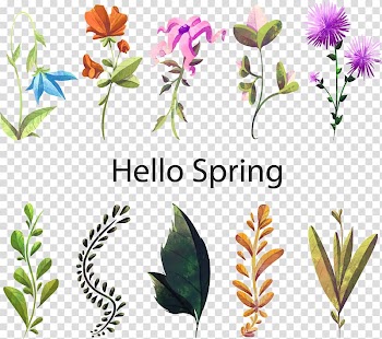 Floral design Watercolor painting Flower Plant, Hello spring flowers transparent background PNG clipart