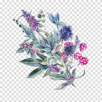 Floral design Watercolor painting Flower, Watercolor flowers transparent background PNG clipart