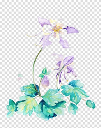 Floral design Watercolor painting Illustration, Watercolor flowers transparent background PNG clipart