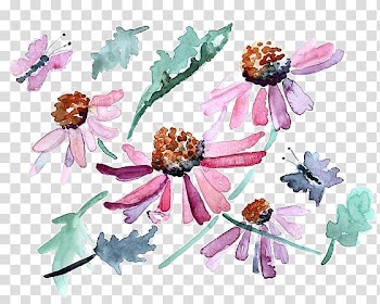 Floral design Watercolor painting Magenta, Watercolor flowers transparent background PNG clipart