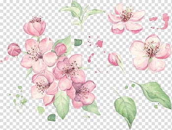Floral design Watercolor painting , painting transparent background PNG clipart