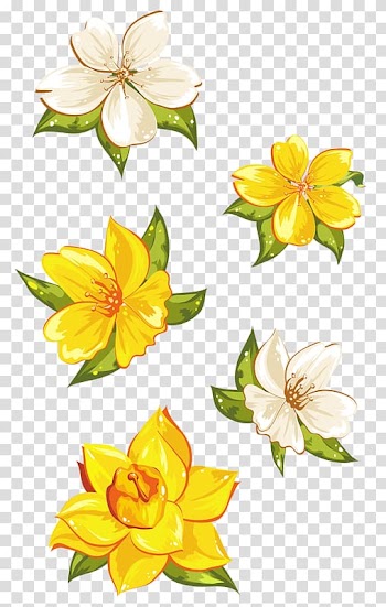 Floral design Watercolor painting, White Pear transparent background PNG clipart
