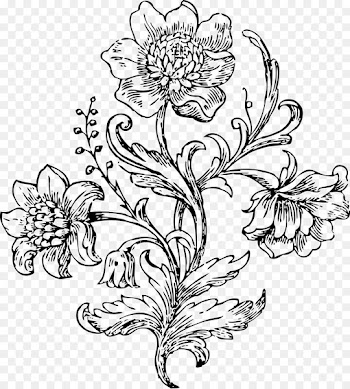 Floral design White Flower Clip art - flower 