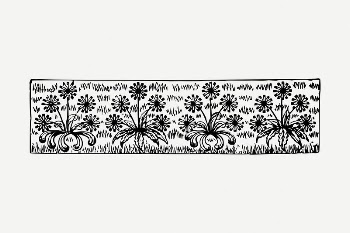 Floral divider drawing, flower illustration | Free PSD Illustration - rawpixel