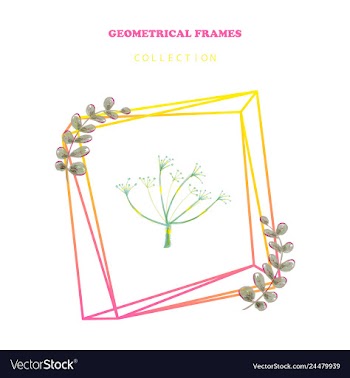 Floral elegant botanical card design with vector image
