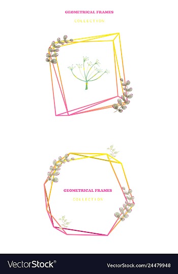 Floral elegant botanical card design with vector image