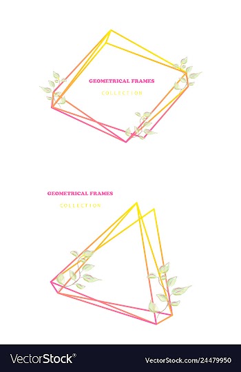Floral elegant botanical card design with vector image