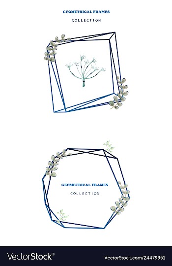 Floral elegant botanical card design with vector image