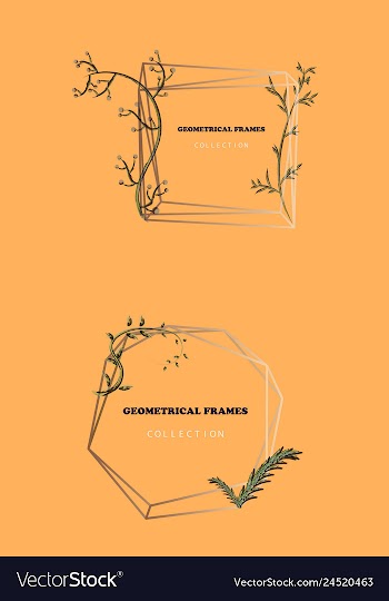 Floral elegant botanical card design with vector image