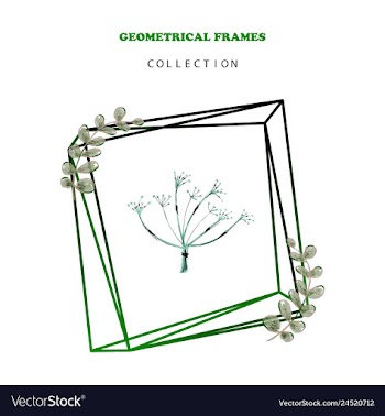 Floral elegant botanical card design with vector image