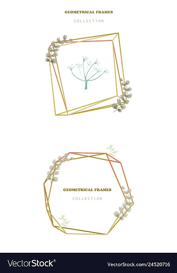Floral elegant botanical card design with vector image