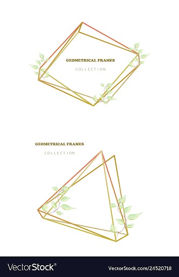 Floral elegant botanical card design with vector image