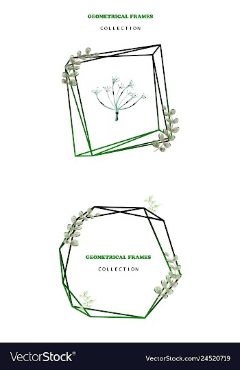 Floral elegant botanical card design with vector image
