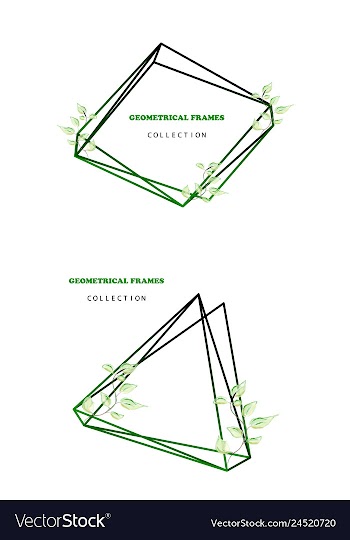 Floral elegant botanical card design with vector image