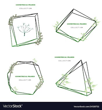 Floral elegant botanical card design with vector image