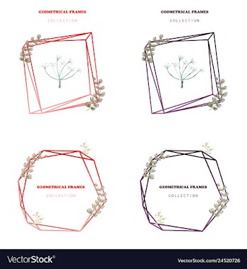 Floral elegant botanical card design with vector image
