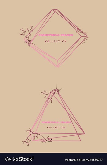 Floral elegant botanical card design with vector image