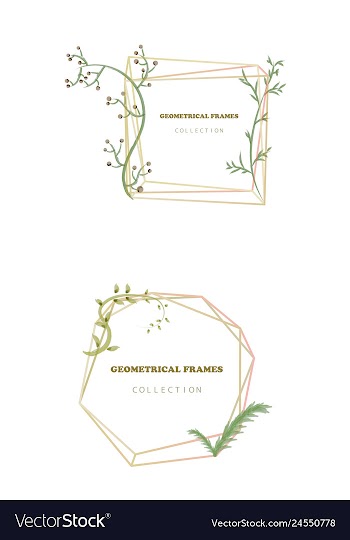 Floral elegant botanical card design with vector image