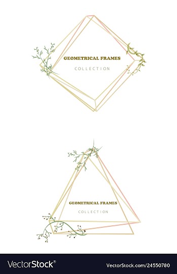 Floral elegant botanical card design with vector image