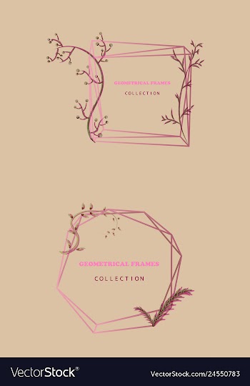 Floral elegant botanical card design with vector image