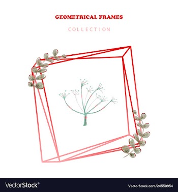 Floral elegant botanical card design with vector image