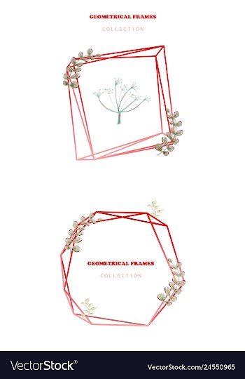 Floral elegant botanical card design with vector image