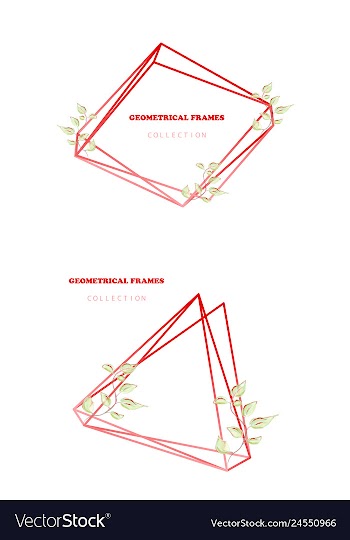 Floral elegant botanical card design with vector image