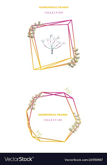 Floral elegant botanical card design with vector image