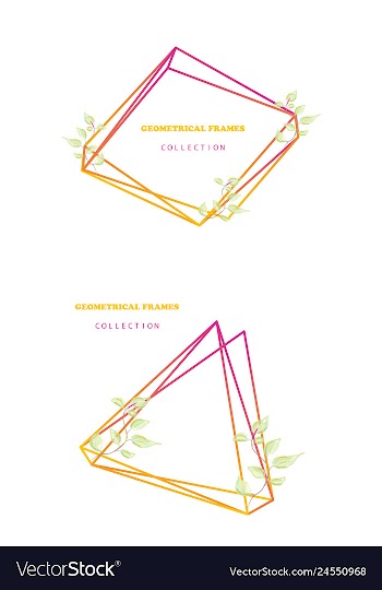 Floral elegant botanical card design with vector image