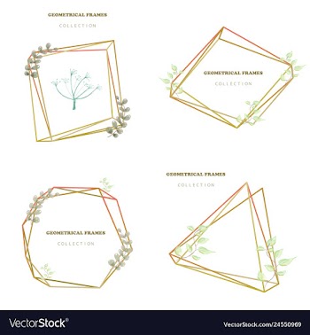 Floral elegant botanical card design with vector image
